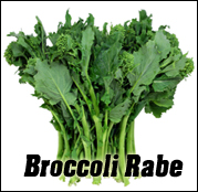 Broccoli Rabe