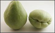 Chayote Squash