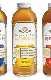 Kombucha