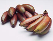 Red Bananas