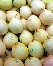 Chinese White Ya Pears